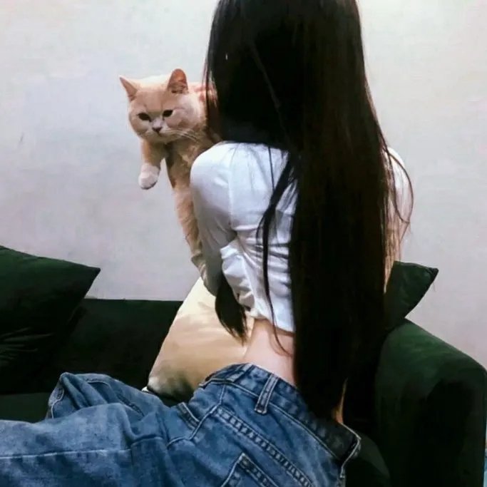极品桃花运 在线观看
